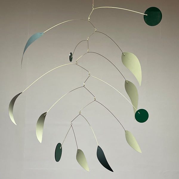 Olive Branch