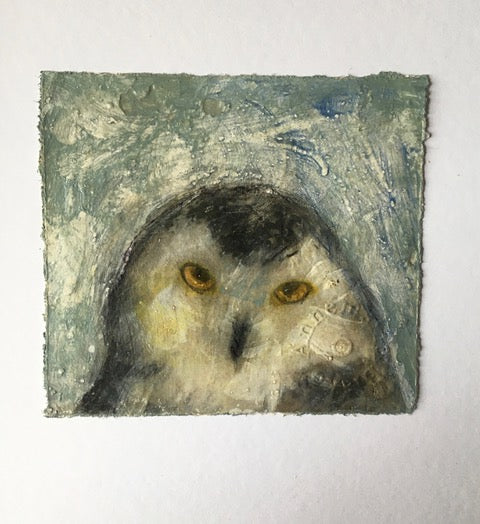 Owl