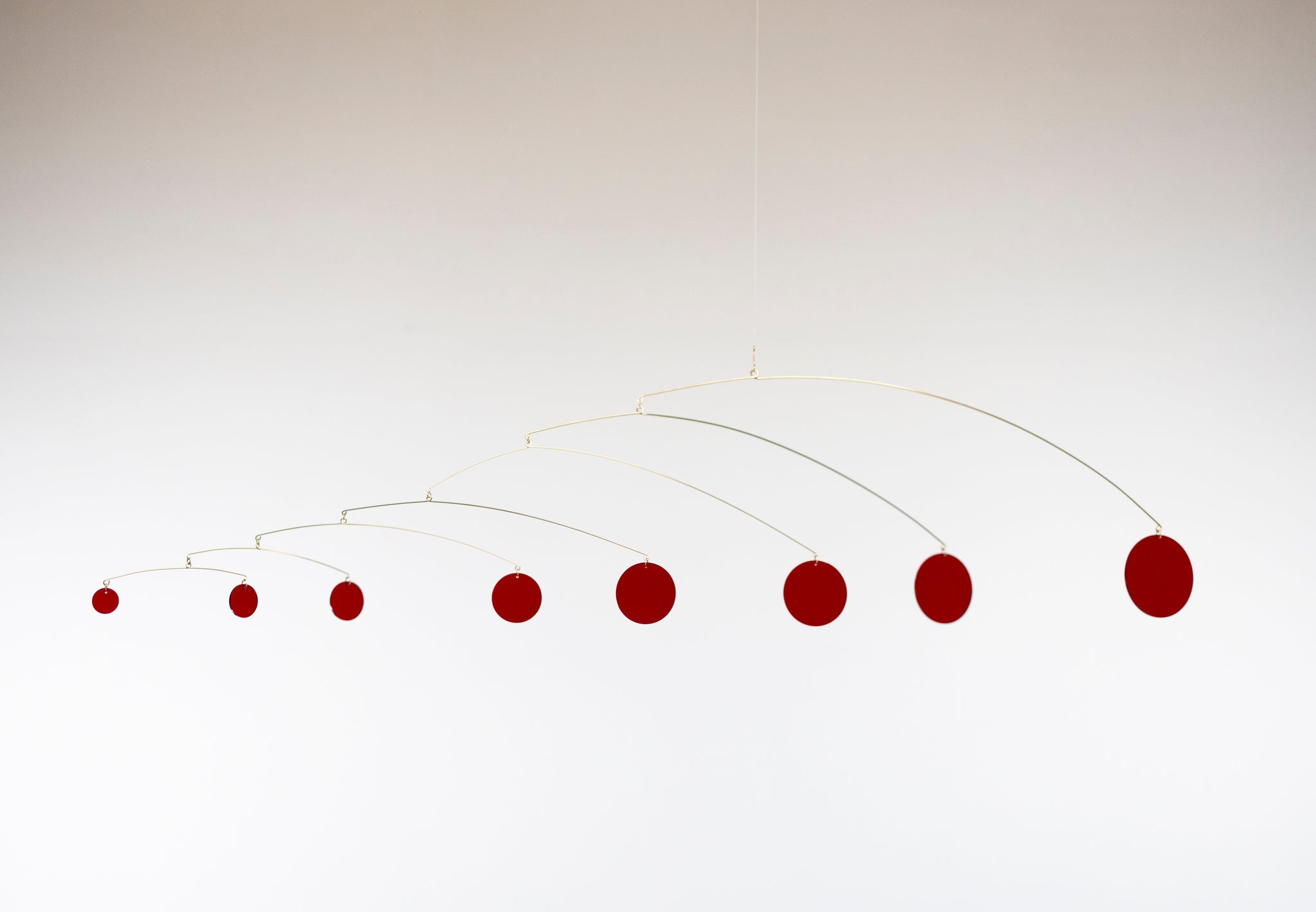 Horizontal Red Berries