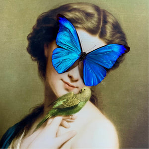 Beauty & The Parakeet