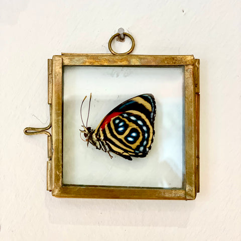 Tiny Butterfly Frame